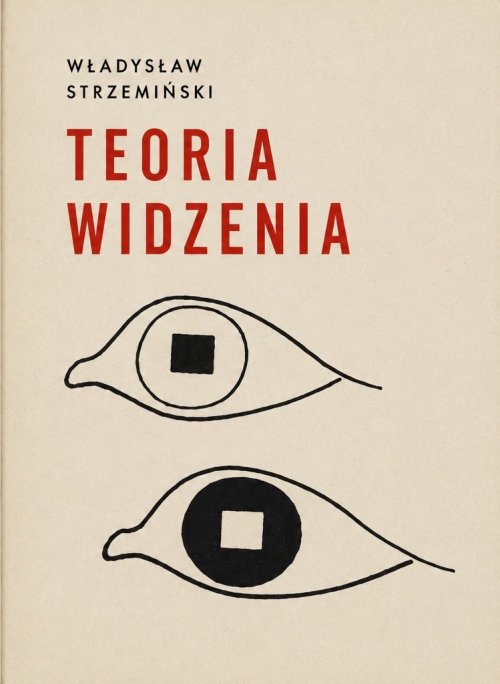 Teoria widzenia